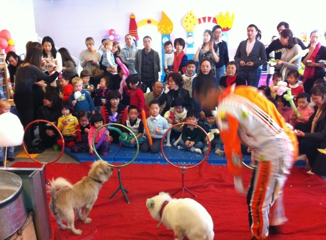 Doggie show明星狗