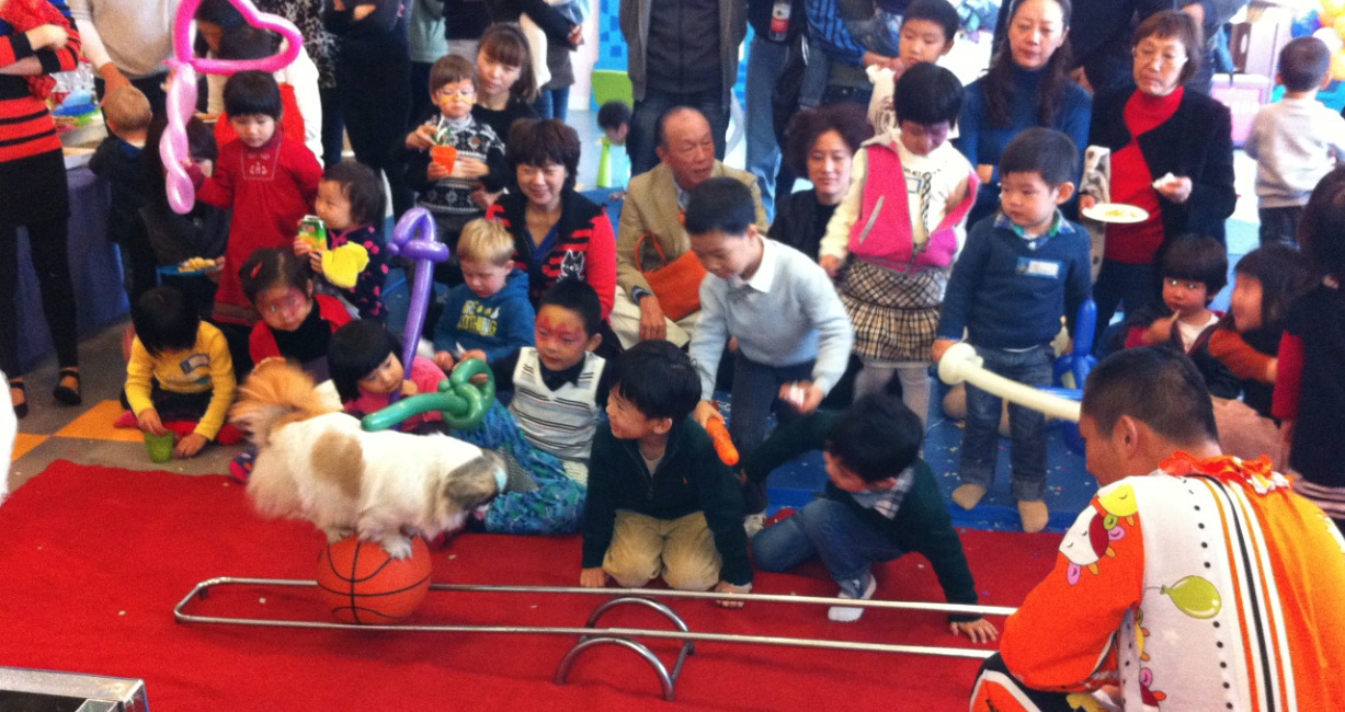 Doggie show明星狗