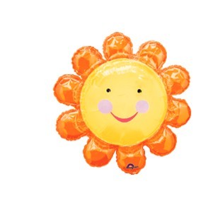 Chatterbox Orange Flower橙色太阳花  