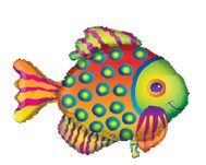 Tropical Fish热带鱼