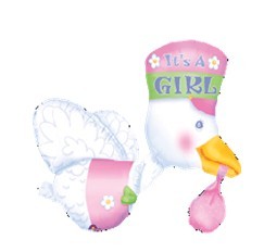 Bundle of Joy Stork - Its A Girl送子鸟-女孩