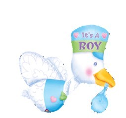 Bundle of Joy Stork - Its A Boy送子鸟-男孩 