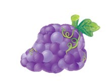 Grapes葡萄 