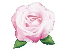 Love in Bloom Pink Rose粉玫瑰 